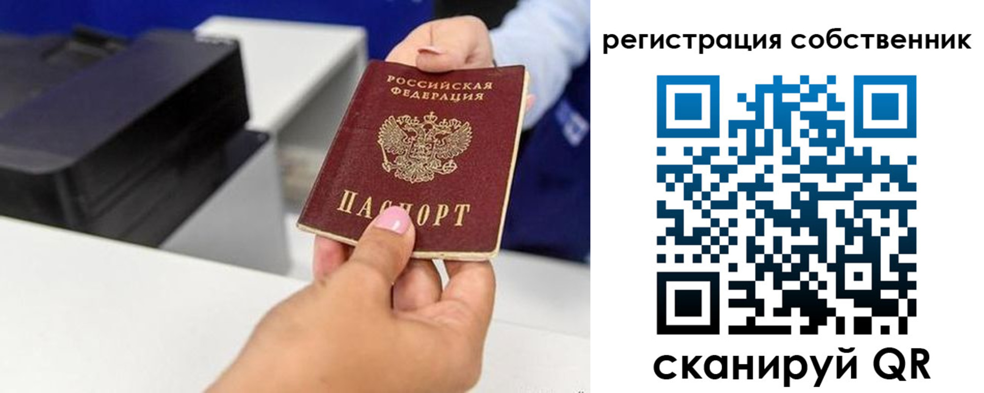 прописка для школы в Псковской области